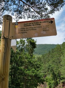 IMG_20180629_153930_936