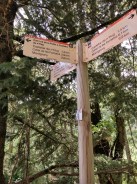 IMG_20180629_154104_710