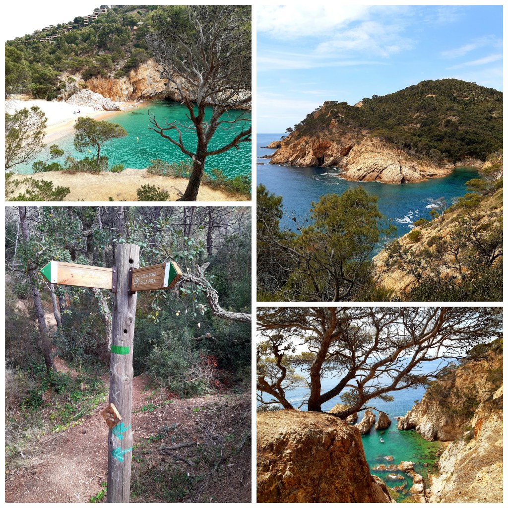 Aquesta imatge té un atribut alt buit; el nom de fitxer és collagemaker_20210726_153814639-1.jpg