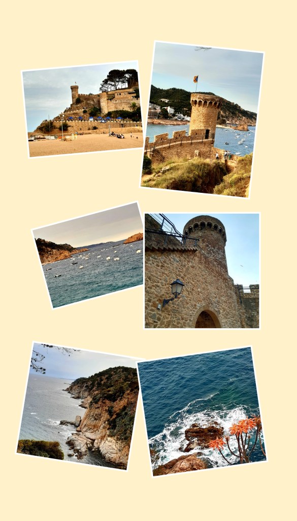 Aquesta imatge té un atribut alt buit; el nom de fitxer és incollage_20210720_161747834.jpg