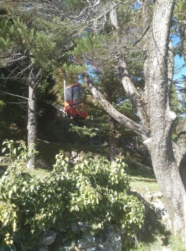 IMG_20181111_120138_735